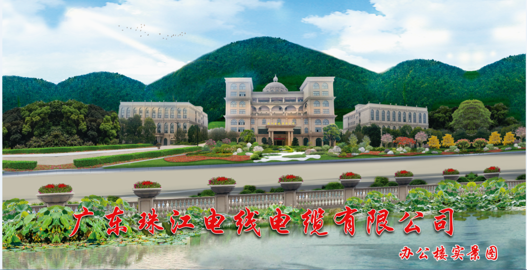 宝武钢铁集团向导专家莅临太阳GG电缆旅行交流